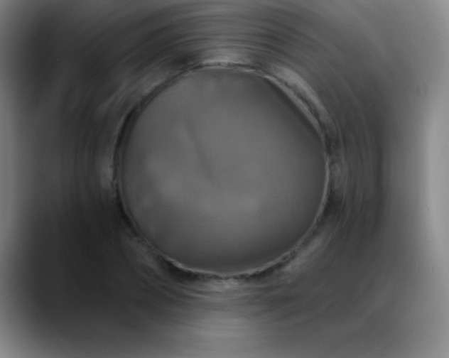 X0000088850882200706151715