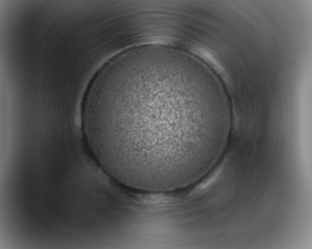 X0000088850883200706151715