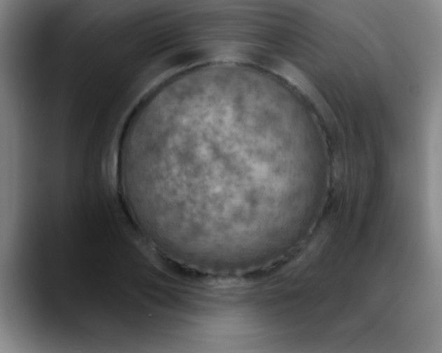 X0000088850886200706151715