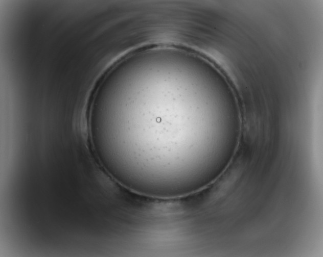 X0000088850887200706151715