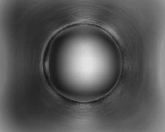 X0000088850888200706151715