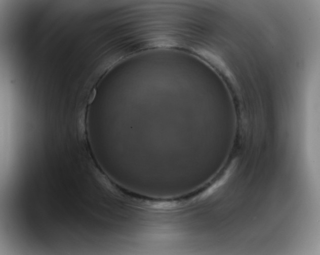 X0000088850889200706151715