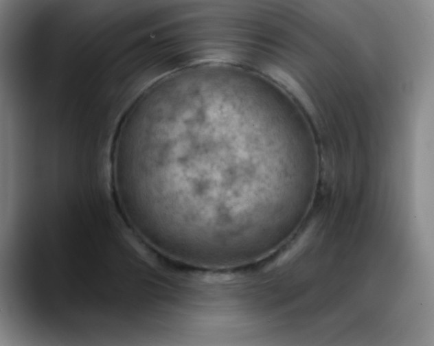 X0000088850890200706151715