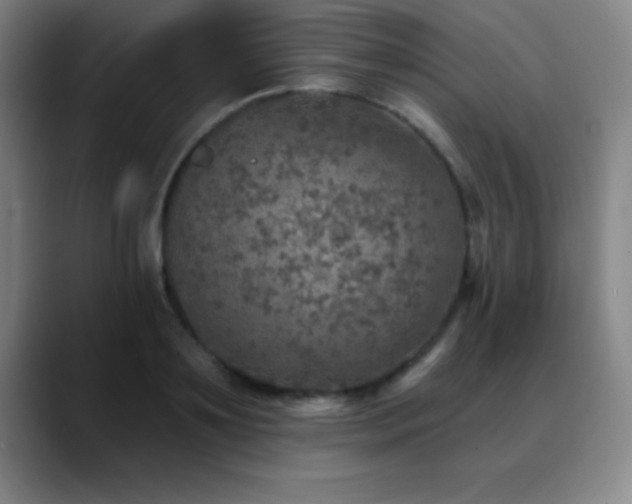 X0000088850891200706151715