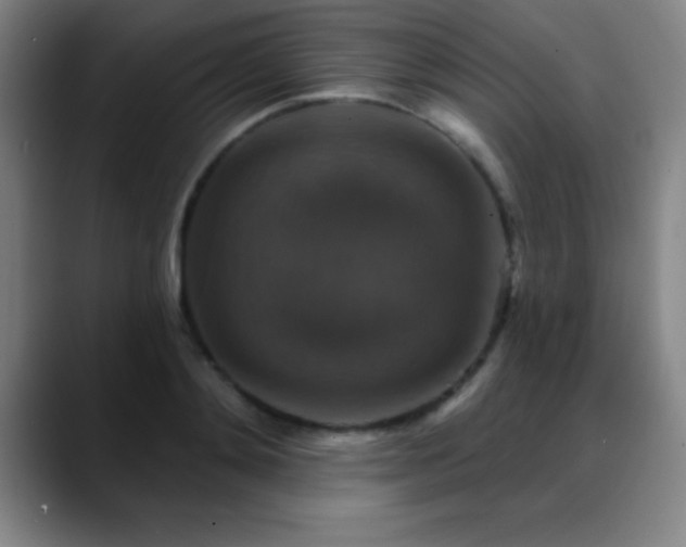 X0000088850892200706151715