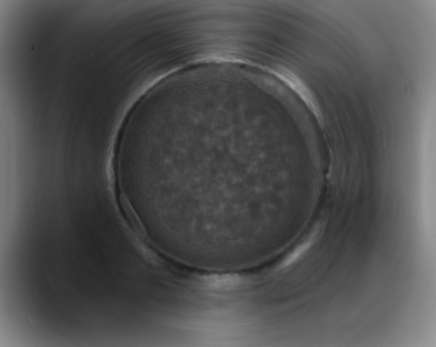 X0000088850893200706151715