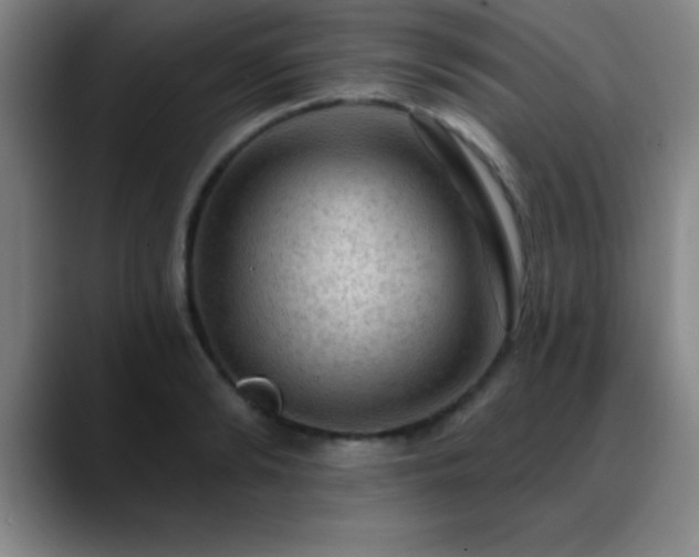 X0000088850894200706151715