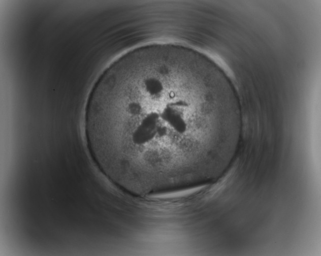 X0000088850895200706151715