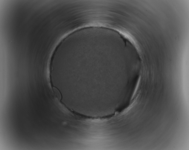 X0000088850896200706151715