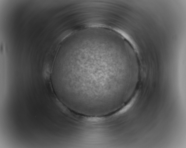 X0000088850897200706151715