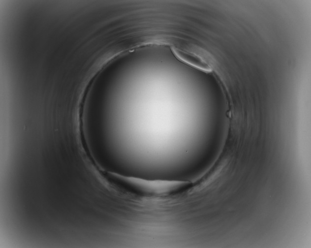 X0000088850898200706151715