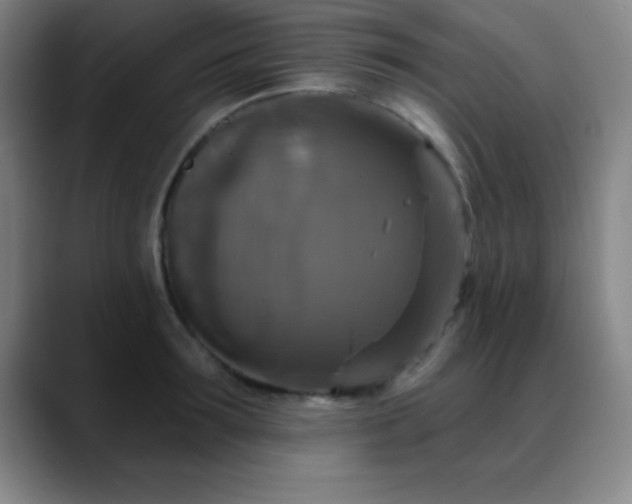 X0000088850899200706151715