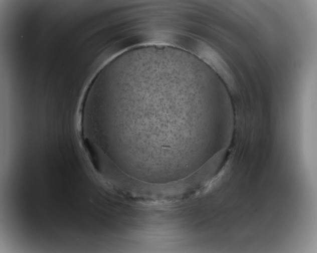 X0000088850900200706151715