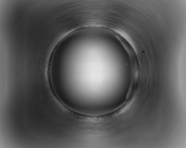 X0000088850901200706151715