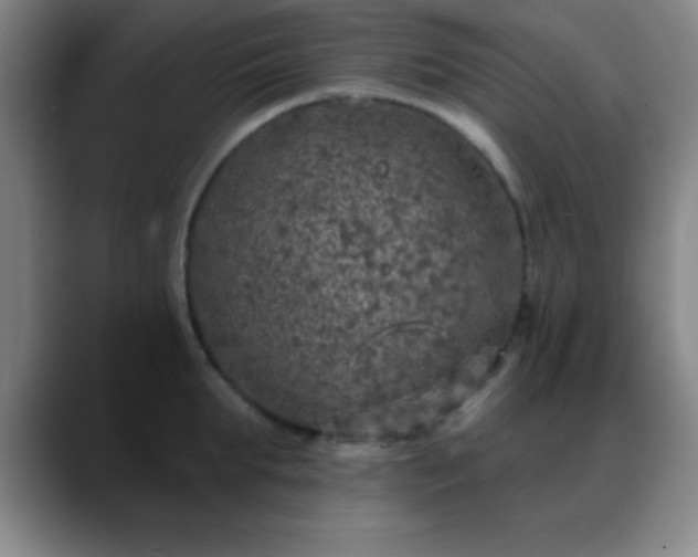 X0000088850903200706151715