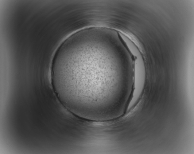 X0000088850904200706151715