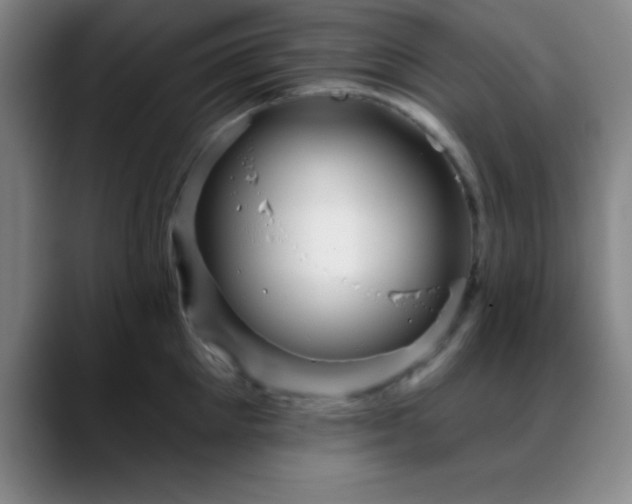 X0000088850905200706151715