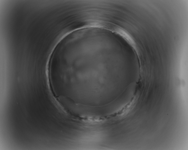 X0000088850907200706151715