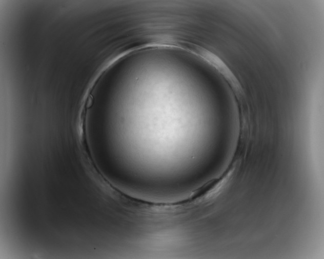 X0000088850908200706151715