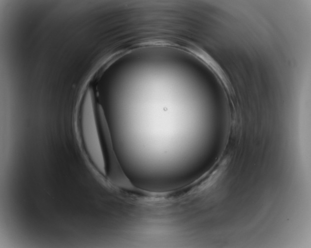 X0000088850909200706151715