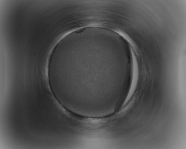 X0000088850910200706151715