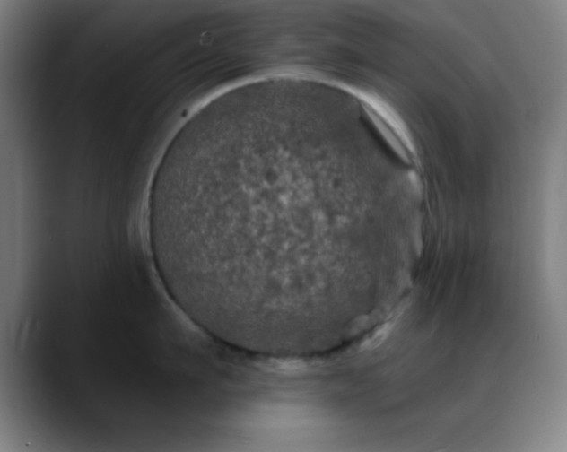 X0000088850911200706151715