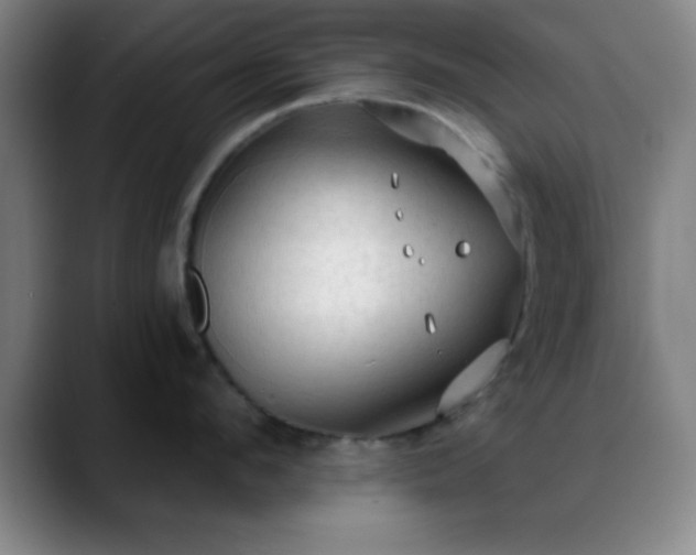 X0000088850912200706151715