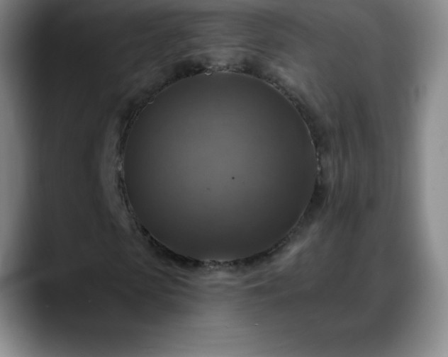 X0000088850913200706151714