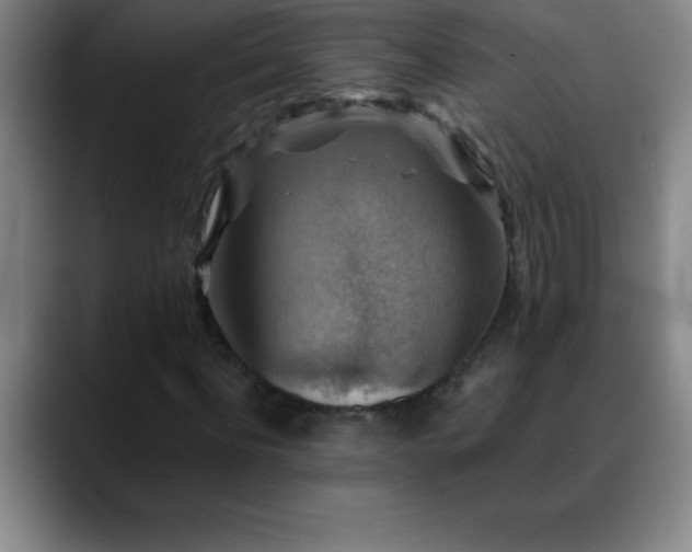 X0000088850916200706151714