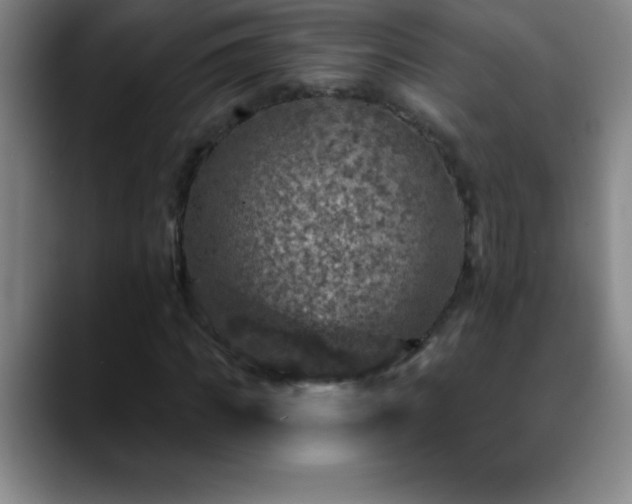 X0000088850917200706151714