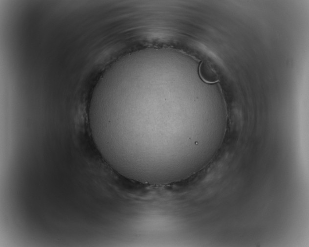 X0000088850918200706151714