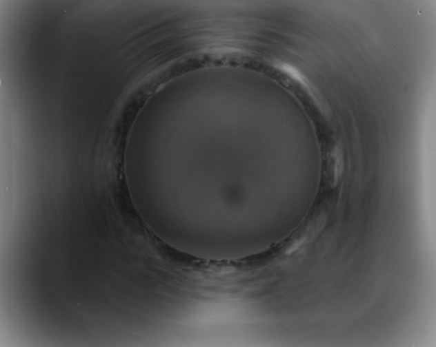 X0000088850919200706151714