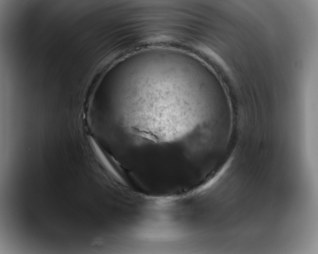 X0000088850921200706151714