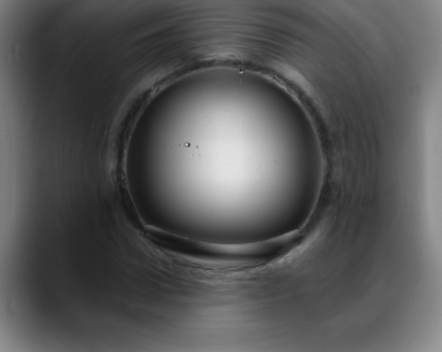 X0000088850922200706151714