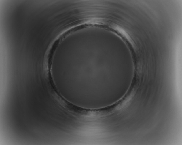 X0000088850923200706151714