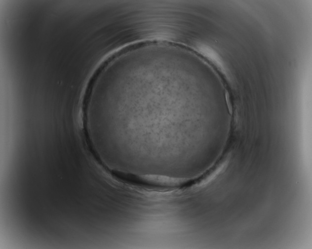 X0000088850924200706151714