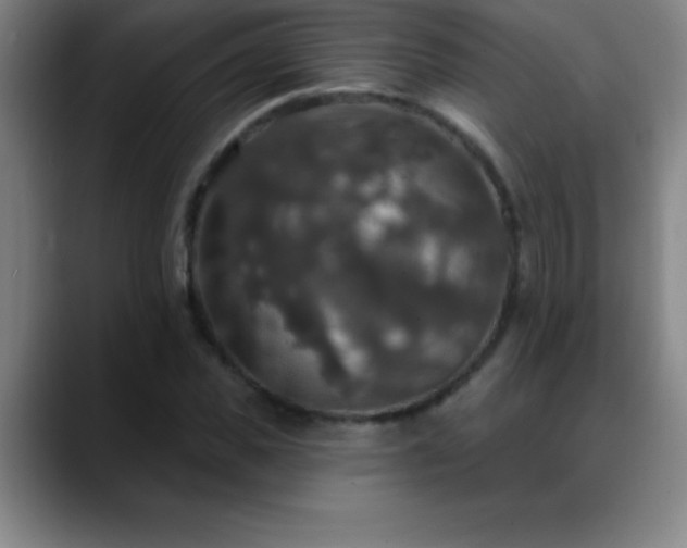 X0000088850925200706151714