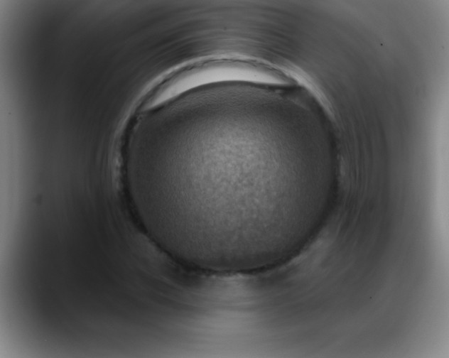 X0000088850926200706151714