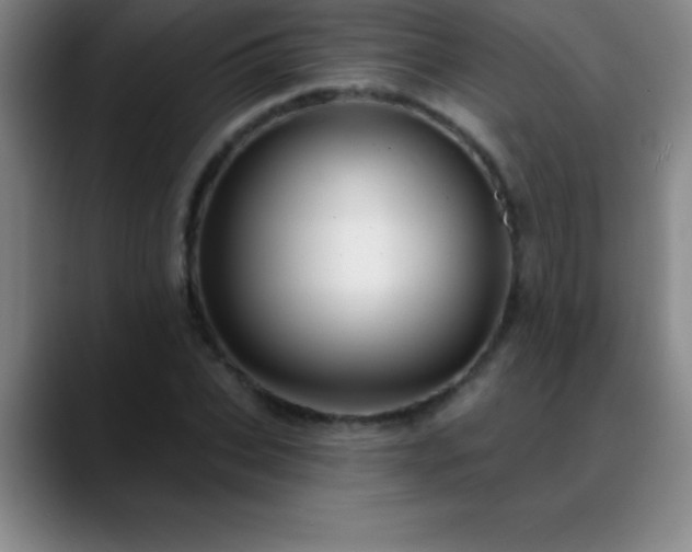 X0000088850927200706151714