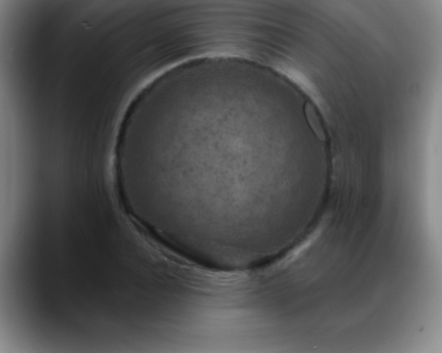 X0000088850928200706151714