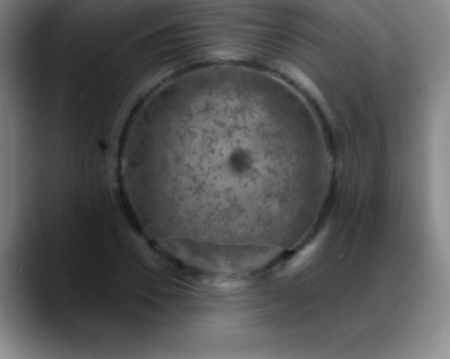 X0000088850930200706151714