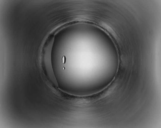 X0000088850931200706151714