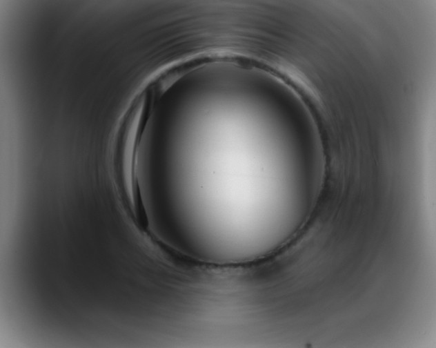 X0000088850934200706151714
