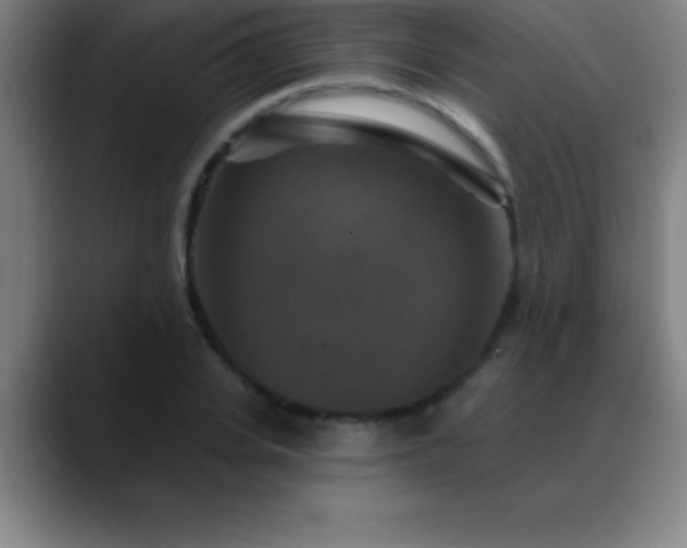 X0000088850935200706151714