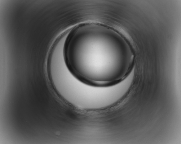 X0000088850936200706151715