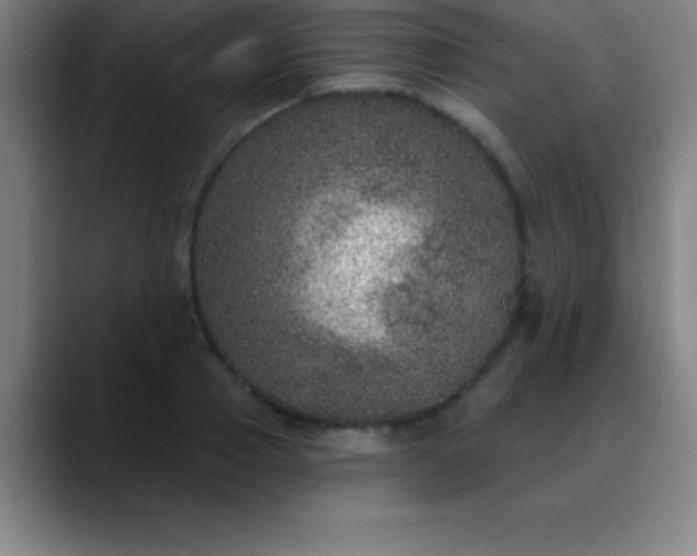 X0000088850937200706151715