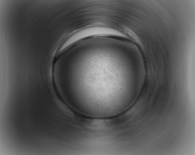 X0000088850938200706151715