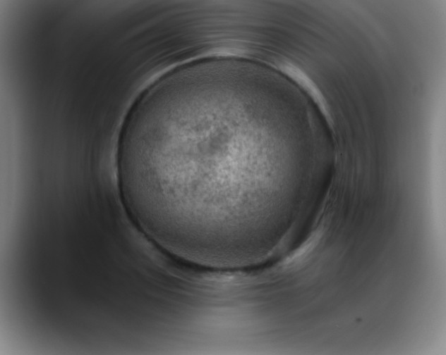 X0000088850939200706151715