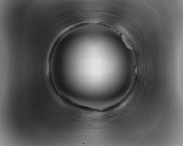 X0000088850940200706151715