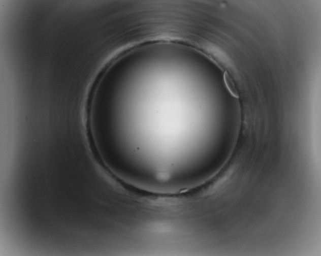 X0000088850942200706151715